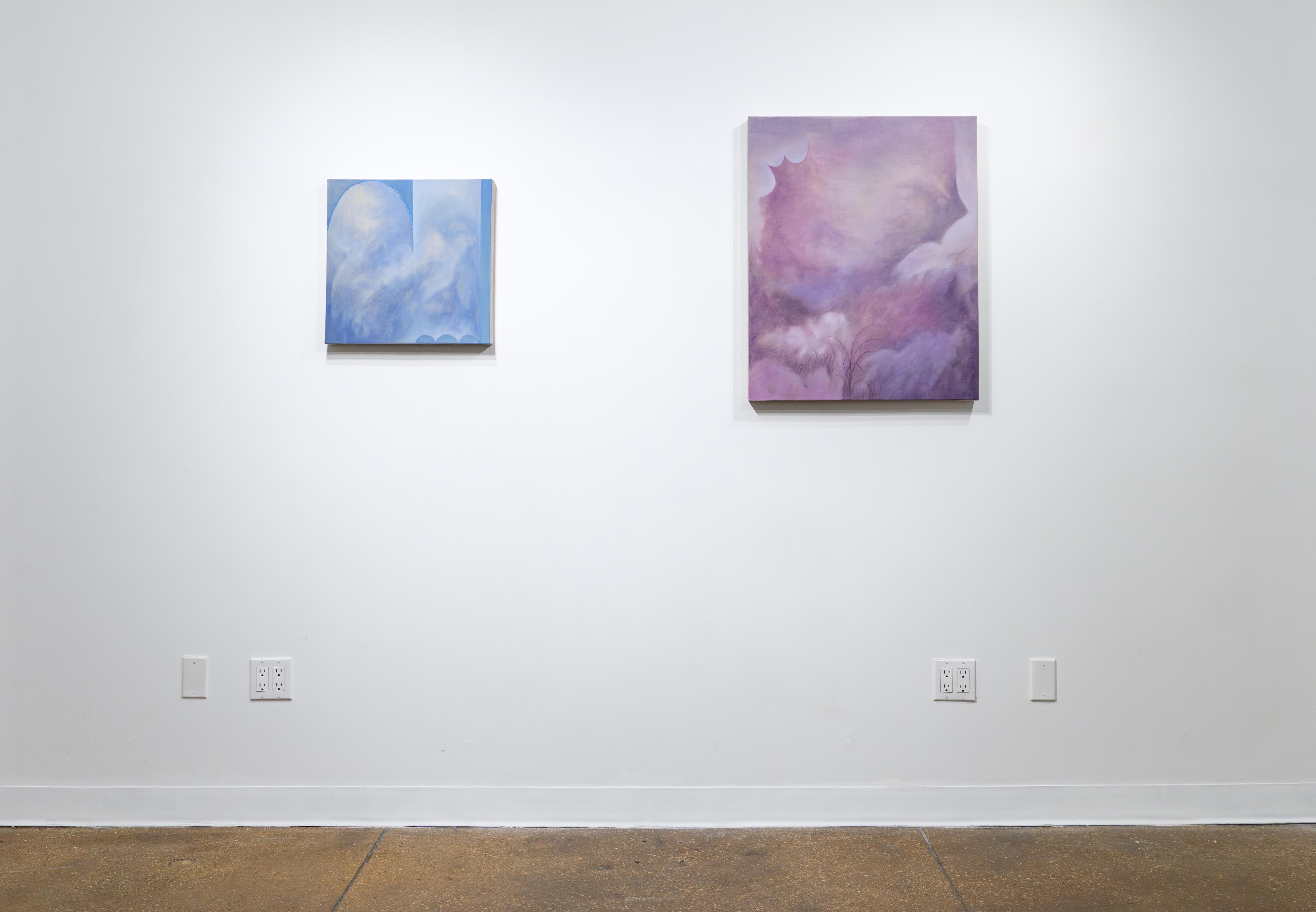 Installation view of Osmosis. Photo by Echo Xu. Courtesy of the artist and Symora Art.