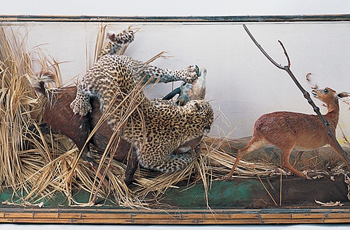 Considering the Problem of Aesthetic Immersion: 