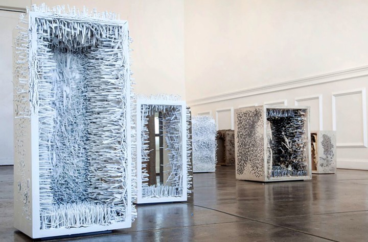 Fawn Rogers' Violent Garden