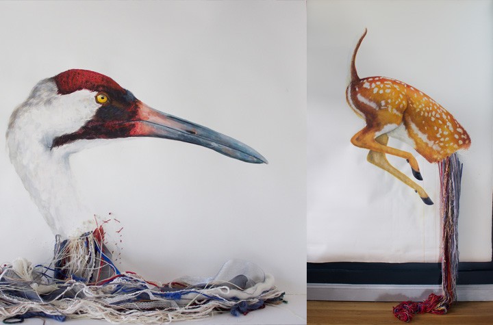 Lauren Levato Coyne Shows the Horrors and Beauty of Nature