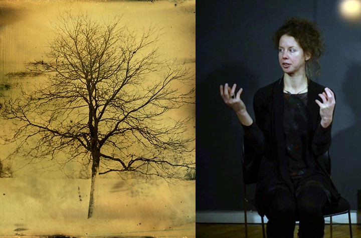 Fiona Annis' The light that was never was