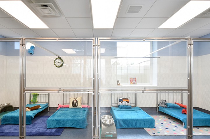 Noah Becker Talks to Architect Chuanjingwei Wang About Animal Care Facility Design