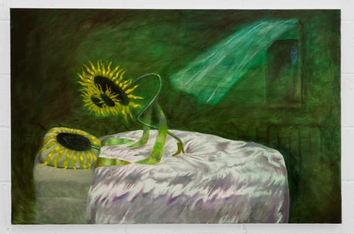 NO PLACE  Alison Yip  Emily Ludwig Shaffer  Quintessa Matranga  Galerie L’Inconnue  Montreal