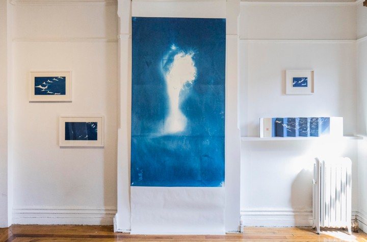 Han Qin: Ethereal Evolution at Fou Gallery