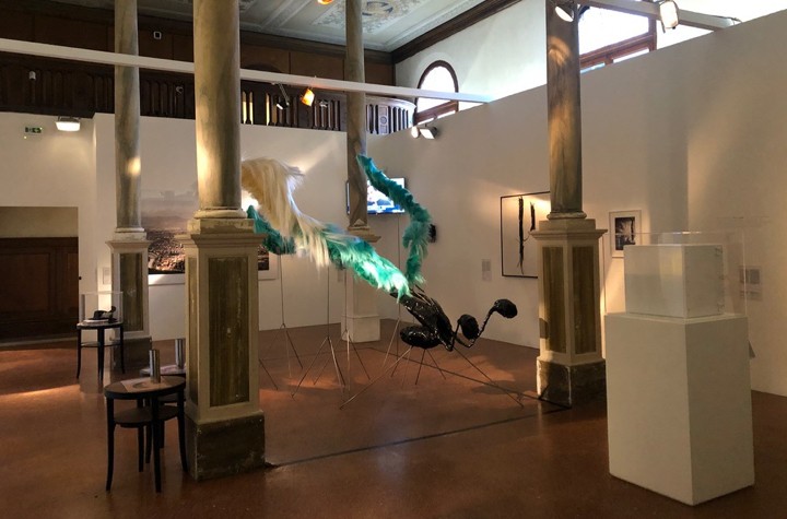 The imaginary pavilion of a non-state: The Piedmonts