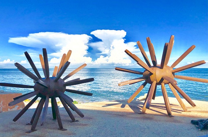 Encounters With Art in the Context of Puerto Vallarta
