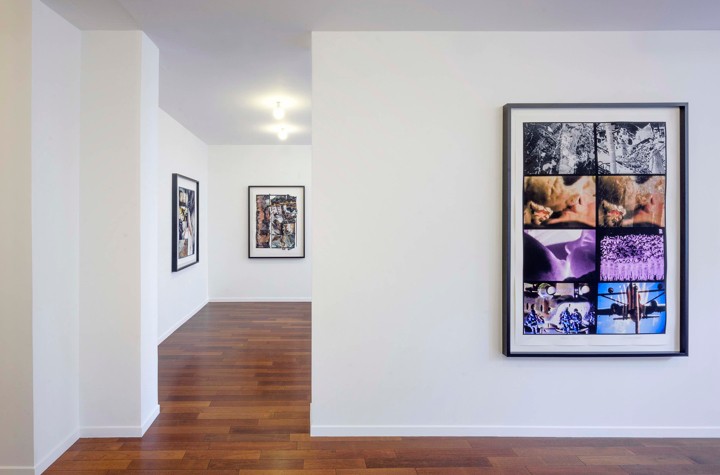 Carolee Schneemann at Michele Didier Gallery, Paris