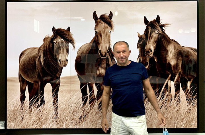 Pictures from a Pandemic: Roberto Dutesco's Wild Horses of Sable Island