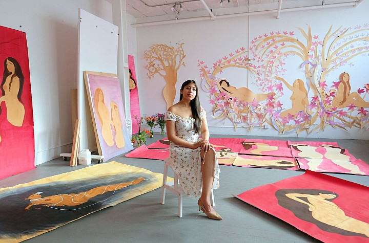 Disclosures: Hiba Schahbaz, or What Dreams I Might Become