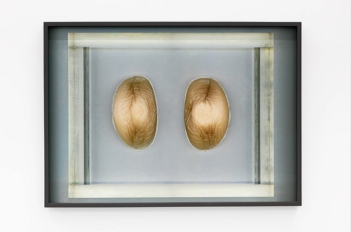 Whitehot Recommends: Flesh on the Floor at Patel Brown