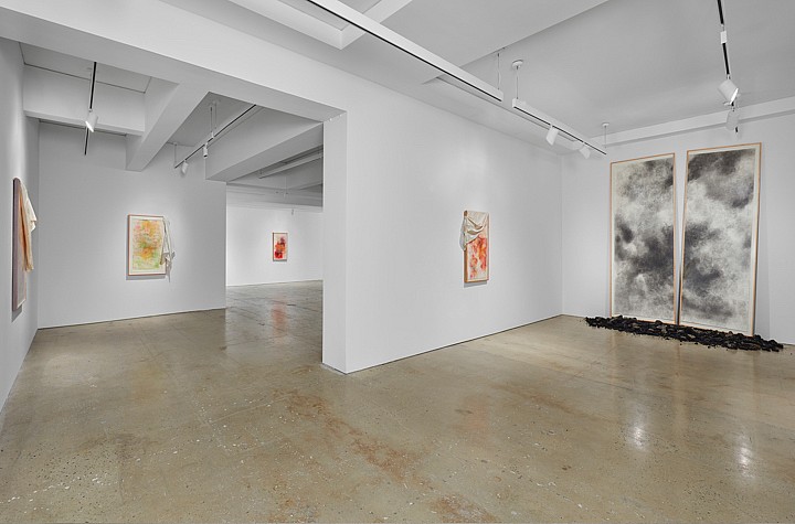 David Hammons at Nahmad Contemporary, and Elsewhere