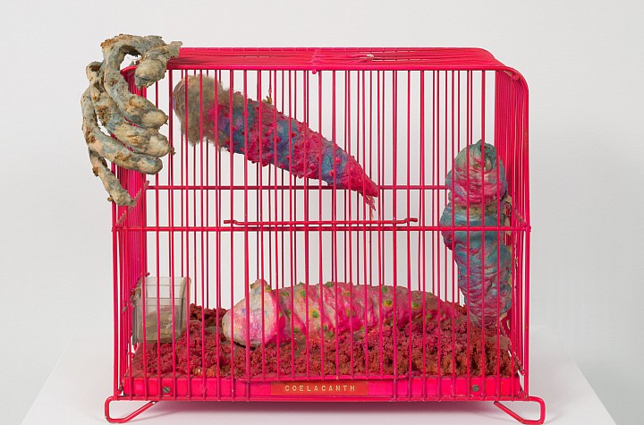 Tetsumi Kudo: Metamorphosis at Hauser & Wirth