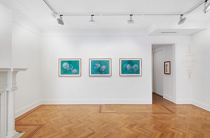 Jorinde Voigt: Trust and Rain at David Nolan Gallery