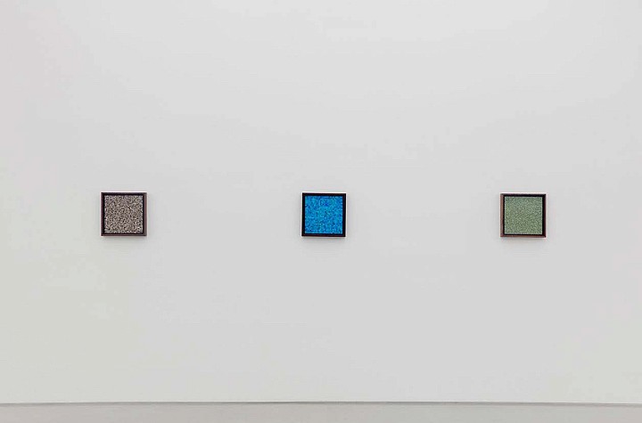 Gabriel de la Mora: Lepidoptera at Perrotin