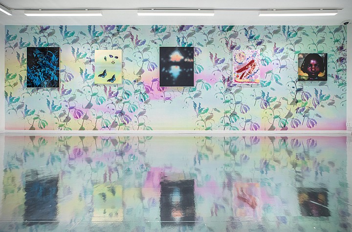 Disrupting Webs: In Crystallized Time at Museum of Museums