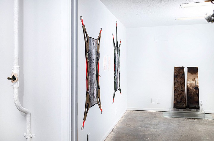 Cyborg Environmentalism at Sapien Gallery