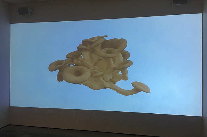 Blue Oyster Mushroom Cult: Jessica Langley’s Hymenophore