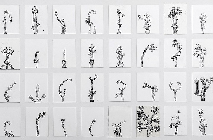 Strangely Blooming: Tara Geer’s Creatures of the Asphalt