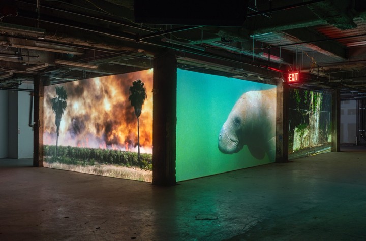 The New Phenomenology:  BUILT at Brutus (Rotterdam)