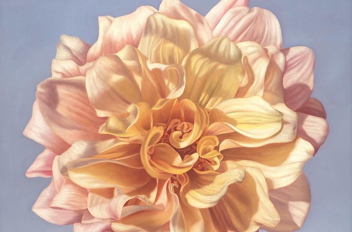 Elizabeth Barlow: Not Discipline, Devotion