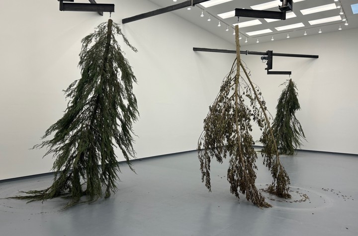An Unsellable Show During a Major Art Fair