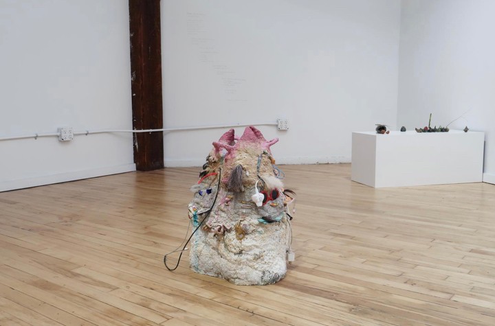 Interview with artist and director of Subtitled NYC, Jaejoon Jang