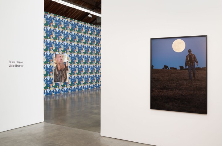 Impenetrable Surface:  Buck Ellison at Luhring Augustine