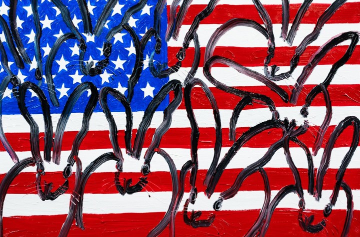 Art Stars and Stripes Forever