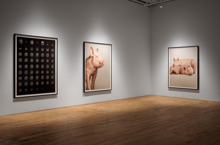 At 52 Walker,  A New Show From the Mind of Heji Shin