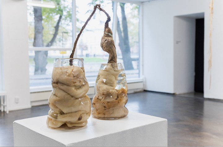KIN AND SUN: Anna Ting Möller at Titanik