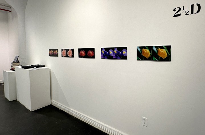 Sensing Sensibility: 2 1/2 D: The Stereoscopic Photography of Steven Pinker