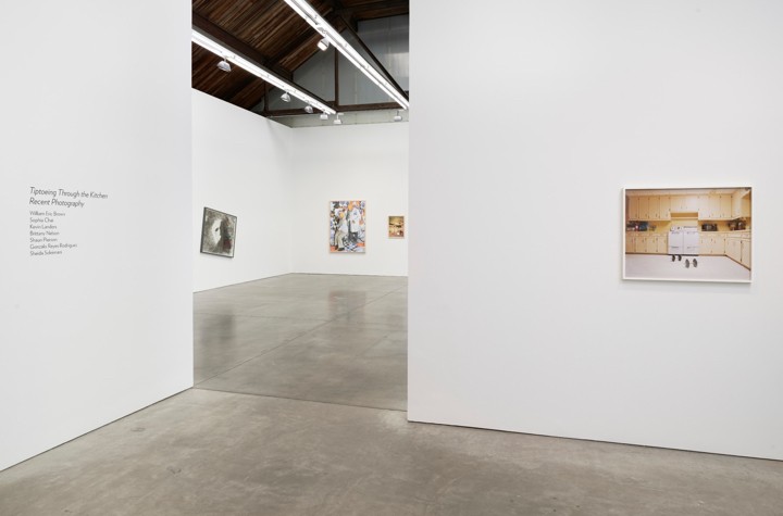 Tiptoeing Through the Cosmos:  Recent Photography at Luhring Augustine