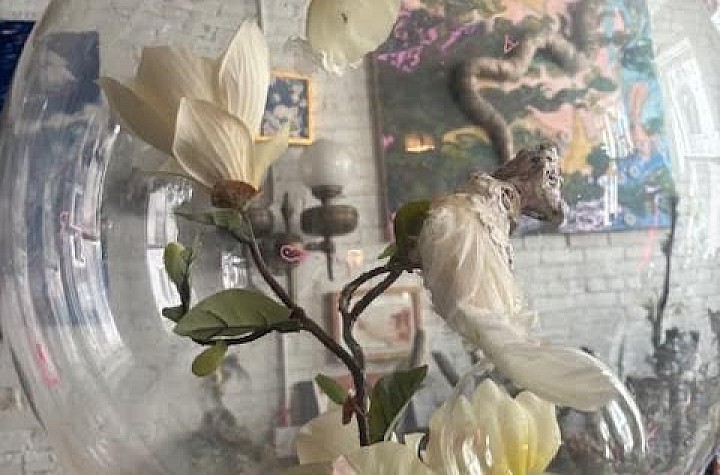 Anthony Haden-Guest Catches up with Lydia Venieri at her Downtown New York art space