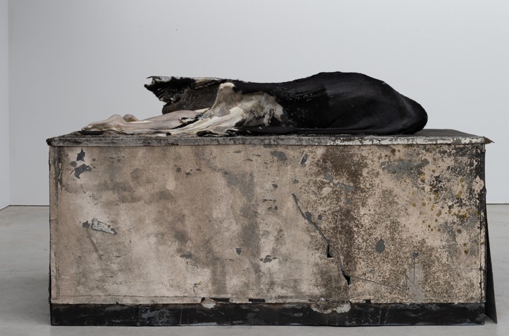 In the subsoil of flesh: The sculptures of Berlinde De Bruyckere