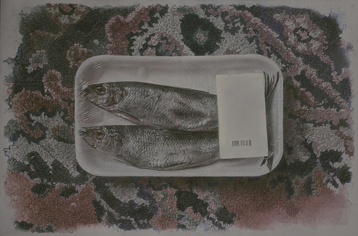 Andrea Boyer and the poetics of time