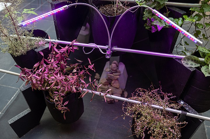 Bridging Art and Science: How can a Sculpture Impact Walkability?
