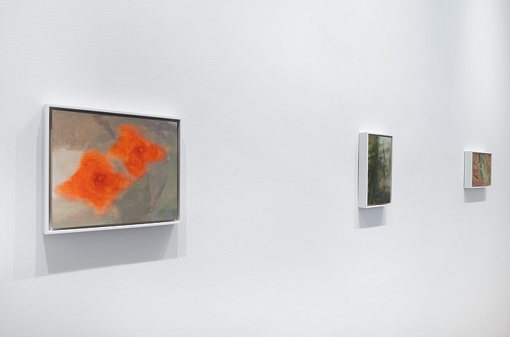 Ellen Siebers: Shaping Distance