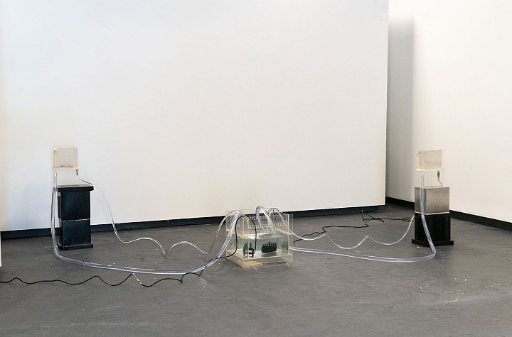 On Water, Genetic Memory, and Containment: A conversation with Amber Toplisek