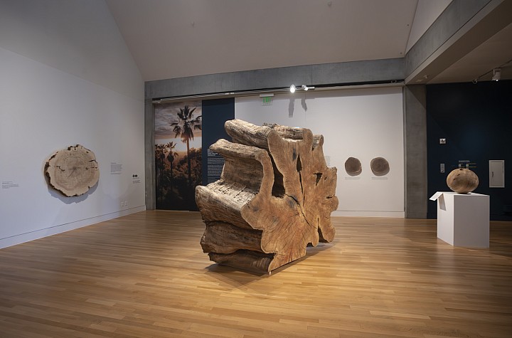 Tiffany Shlain and Ken Goldberg’s Ancient Wisdom For A Future Ecology: Trees, Time & Technology at Skirball Cultural Center,  Los Angeles for Getty’s PST Art & Science Collide