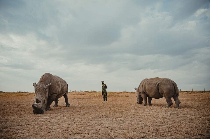 Mital Patel’s Photography: Where Storytelling Meets the Natural World