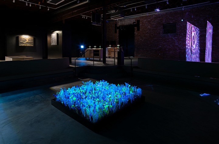 Earthbound: A Dark Sky Exhibit
