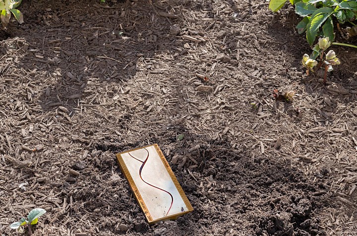 Joy, Community, & Memory: Sean Fader's Queer American Memorials