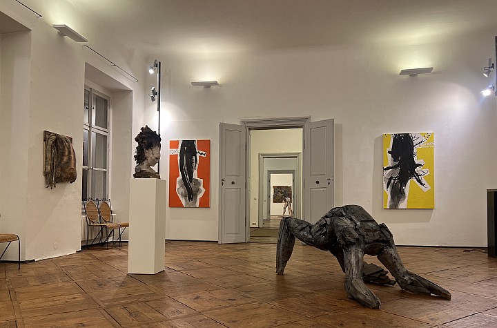 Haut, Haare, Holz at Galerie Schloss Parz