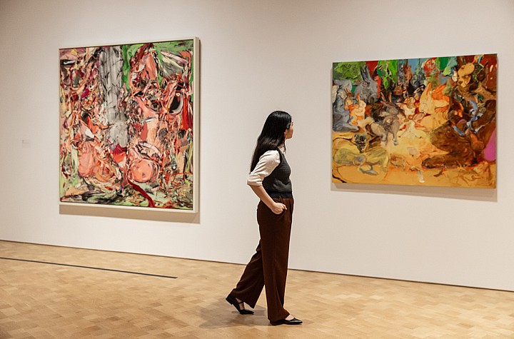 Cecily Brown's Themes and Variations at The Barnes Foundation
