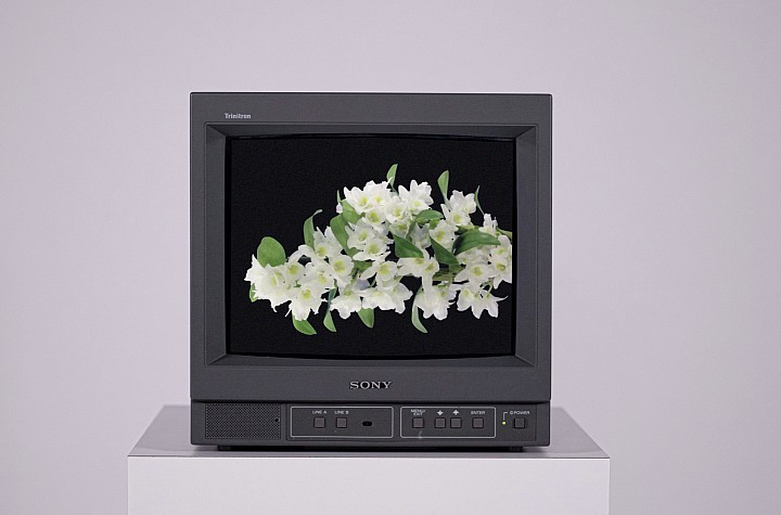 Contemporary Art Exhibition at Queens Botanical Garden