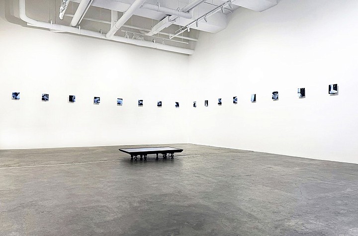 Radiographs of the Soul: Richard Humann’s Bone Songs at Leonovich Gallery