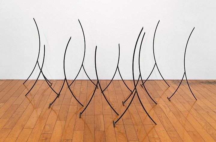 Invisible Forces: Cecilia Caldiera’s Diagrammatic Language