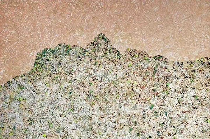 Sakura: A Season of Becoming  A Transnational Group Exhibition Exploring the Artistic Metaphors of Cherry Blossoming