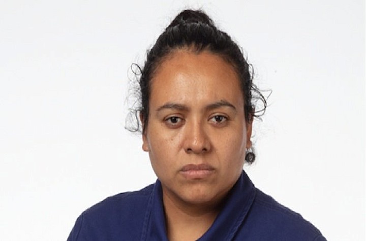 Robin Levy: American Model April 4th – April 26th SMITH contemporary