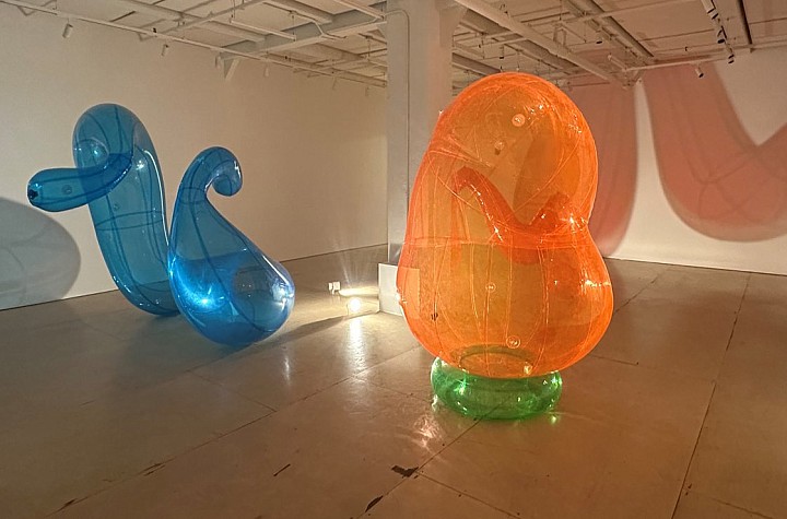 Doreen McCarthy, Light Weight, Dietl International